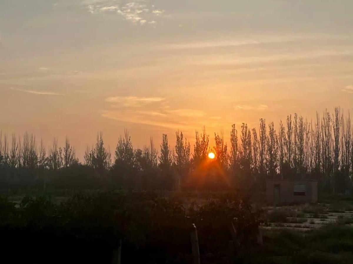 Harmony woven from Summer, Desert, Peace