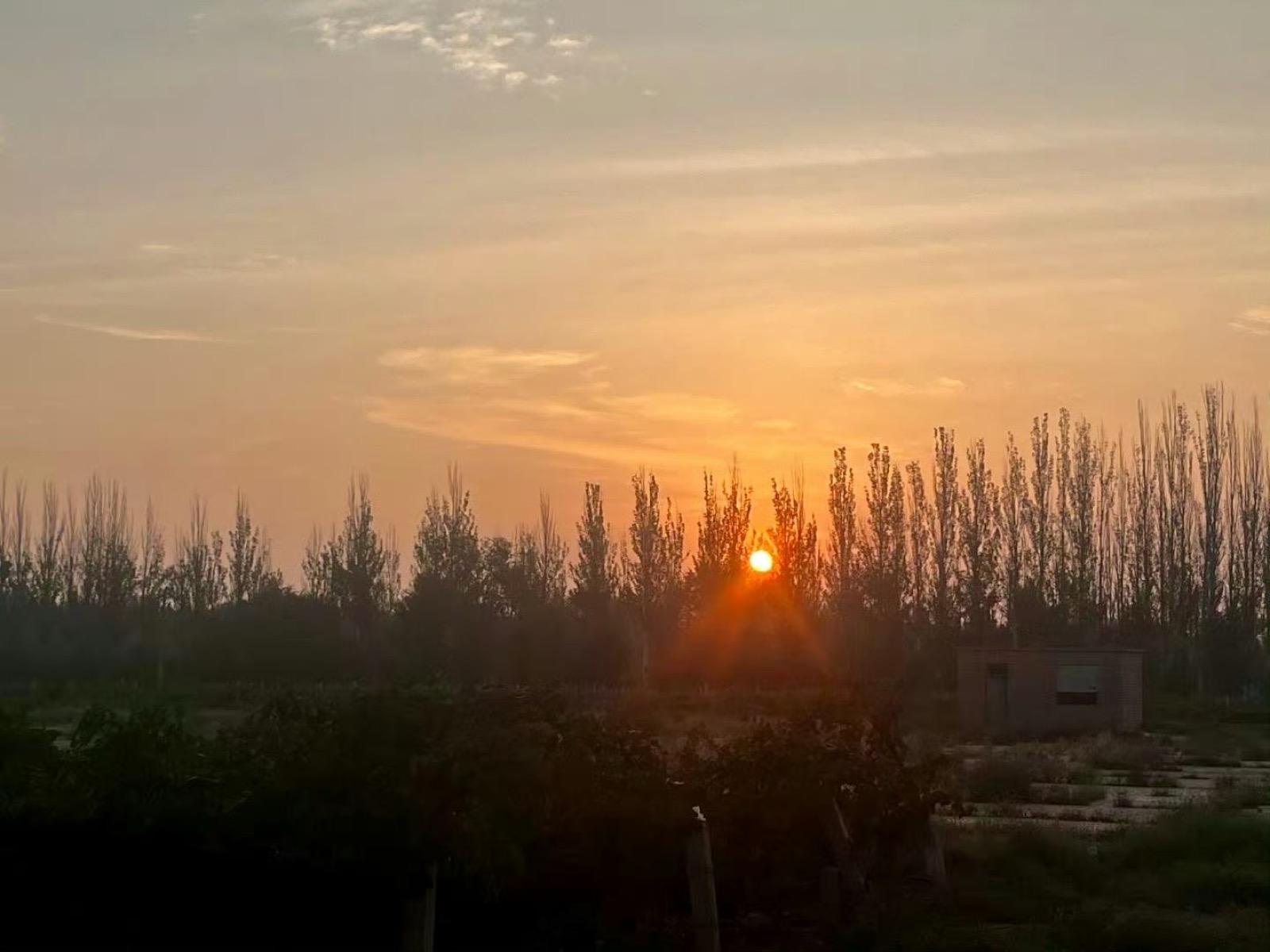 Harmony woven from Summer, Desert, Peace